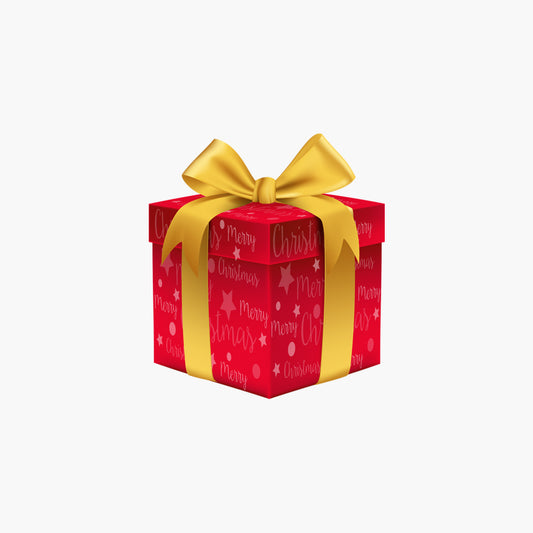Merry Christmas gift bag