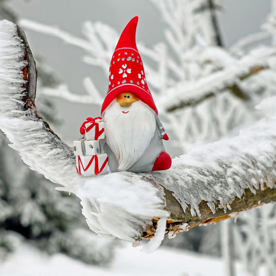 Contact Banner Image