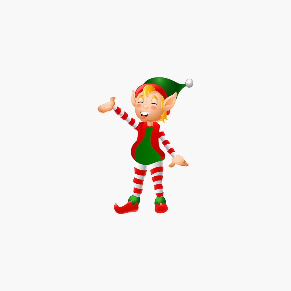 Merry Christmas gift bag