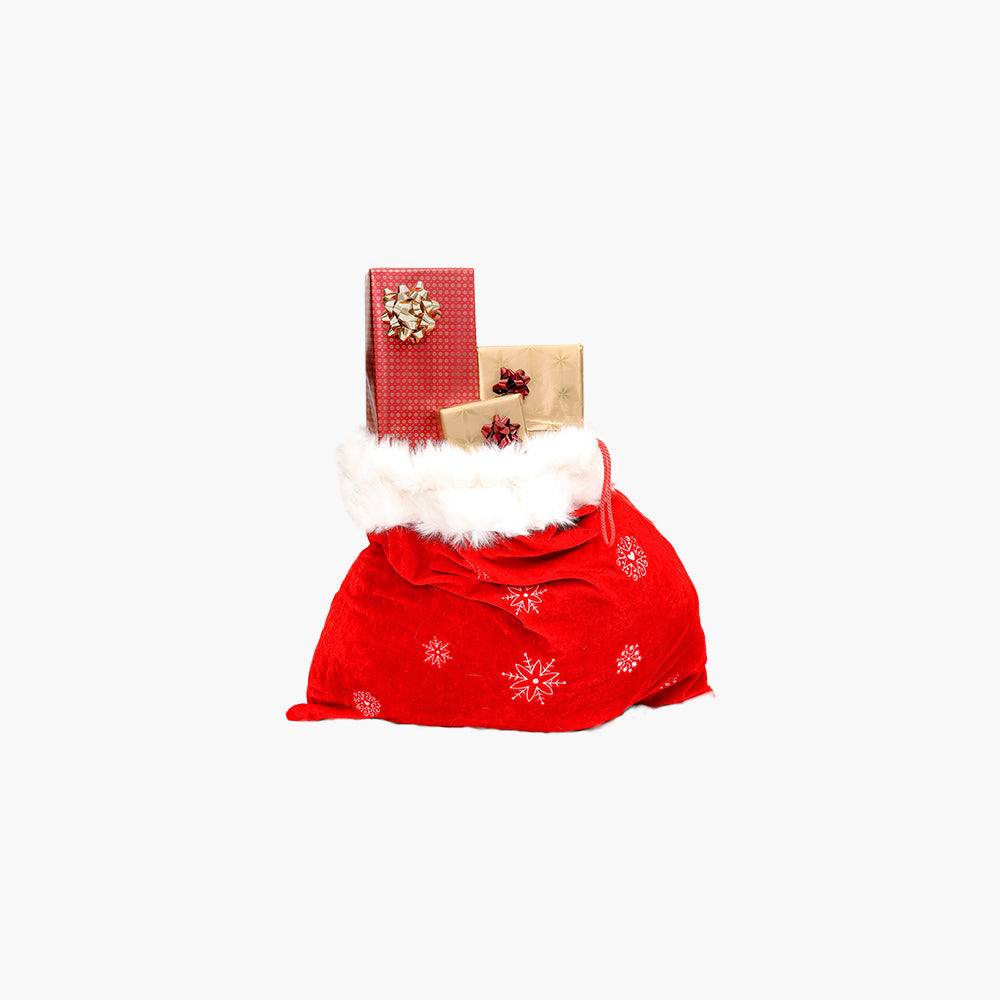 Merry Christmas gift bag