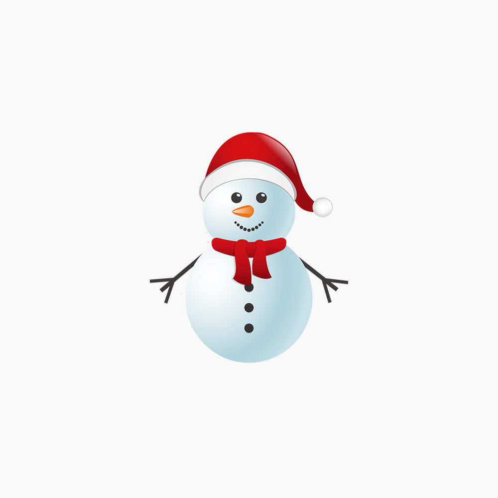 Aeron Christmas Snowman